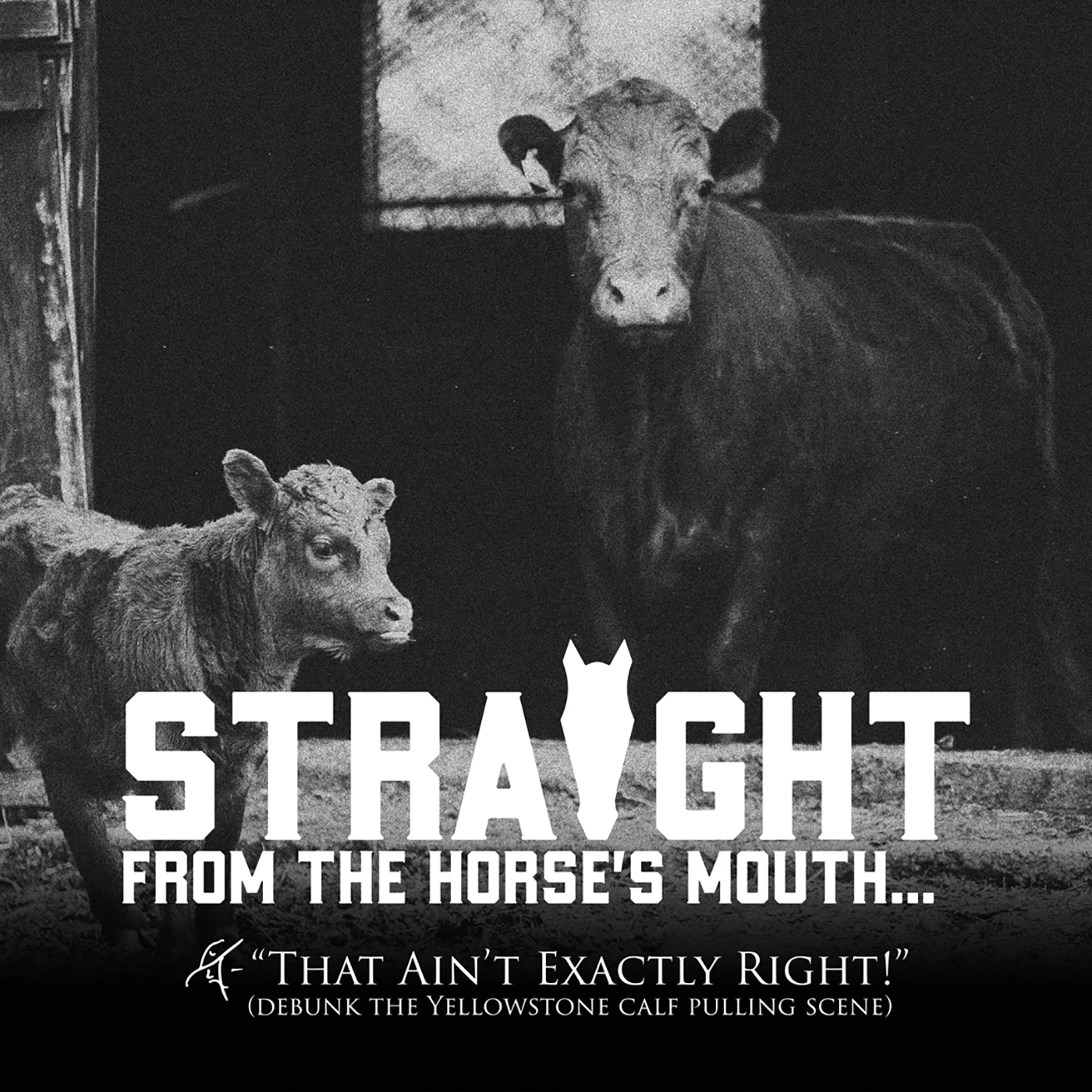 38 Straight From the Horse's Mouth That Ain't Exactly Right! The